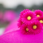 pink tent flowers 2013 Boston Susan G. Komen 3-Day Breast Cancer Walk