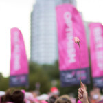 rose closing 2013 Chicago Susan G. Komen 3-Day breast cancer walk