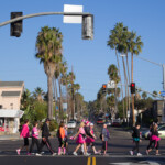 palm tree cross the road 2013 San Diego Susan G. Komen 3-Day breast cancer walk
