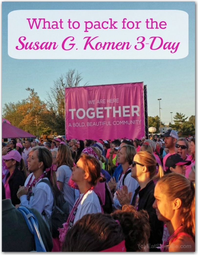 susan g. komen 3-day breast cancer 60 miles walk blog jessica cohen eat sleep be blogger walker