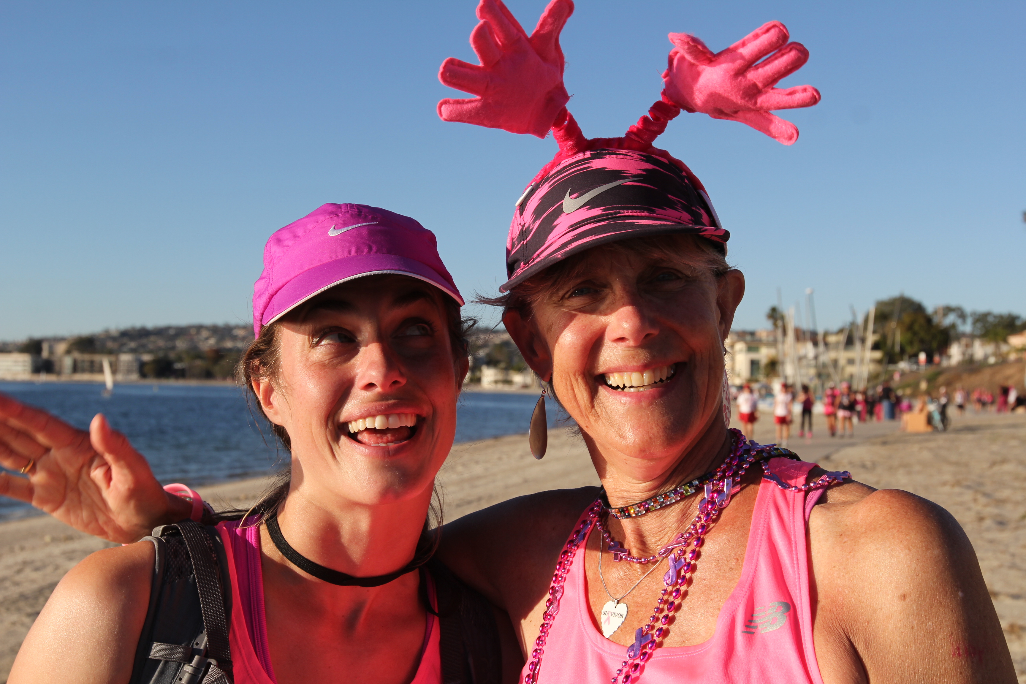 susan g komen 3-day breast cancer 60 miles walk blog san diego team hands up for hooters sally dunbar