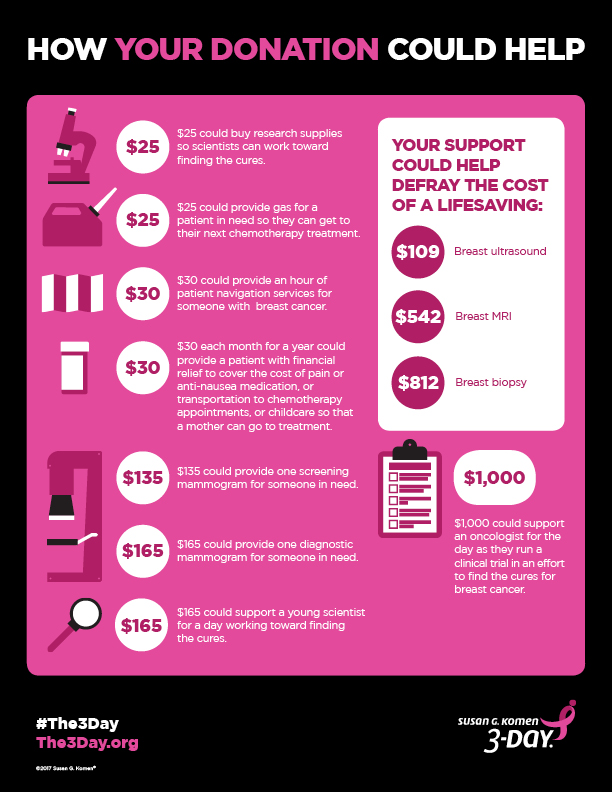 3DAY_2017_Infographic_FundraisingDollars_fp