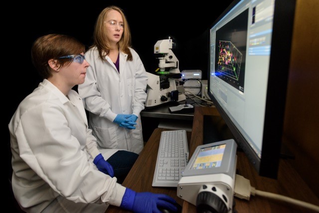 Dr. Kloxin with student Lisa Sawicki in lab looking at breast cancer cells in 3D culture